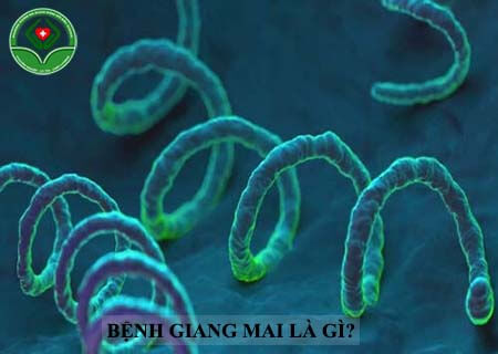bệnh giang mai là gì bệnh giang mai là gì