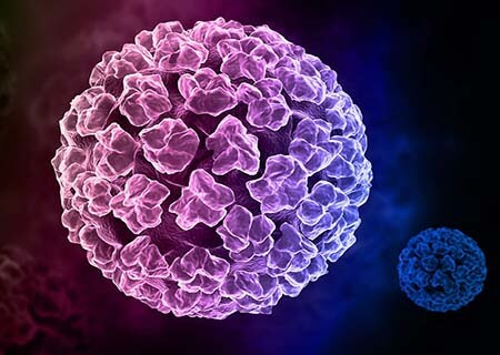 Vi-rút HPV là nguyên nhân gây bệnh