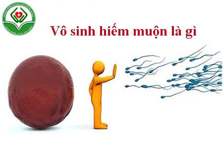 Vô sinh hiếm muộn là gì?