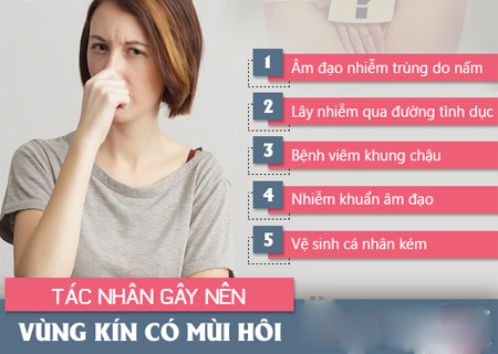 Có nhiều nguyên nhân gây hôi vùng kín mà người bệnh cần lưu ý