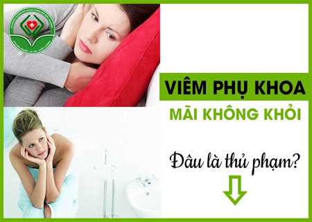 Nguyên nhân viêm phụ khoa tái phát