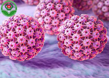 Tiêu diệt vi rút HPV hiệu quả