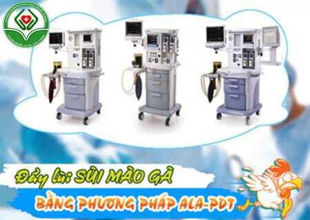 Phương pháp chữa vùng kín nổi mụn