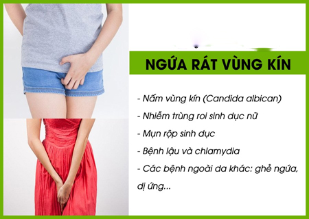 Ngứa vùng kín nữ là dấu hiệu của nhiều bệnh nguy hiểm