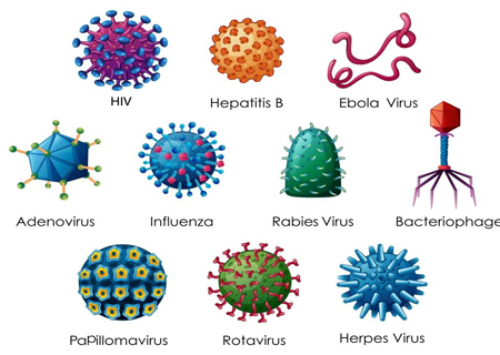 Kiểm tra STDs sẽ phát hiện được những nguy cơ tiềm ẩn bệnh xã hội