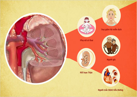 Đối tượng dễ bị nhiễm khuẩn tiết niệu