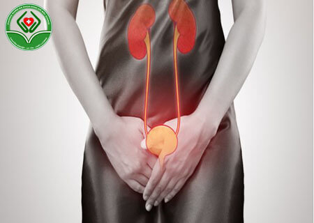 Khi nào cần khám viêm đường tiết niệu