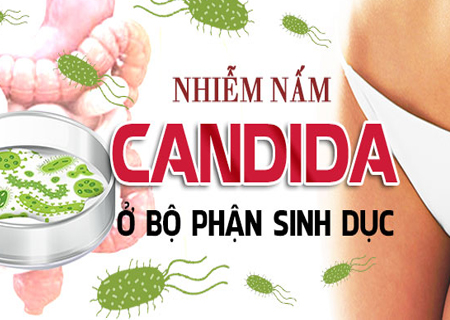 Nấm Candida tại bộ phận sinh dục cần được điều trị kịp thời
