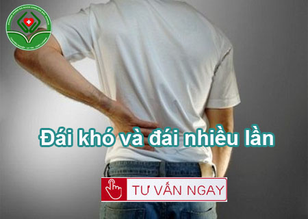 Đái khó và đái nhiều lần là bị làm sao