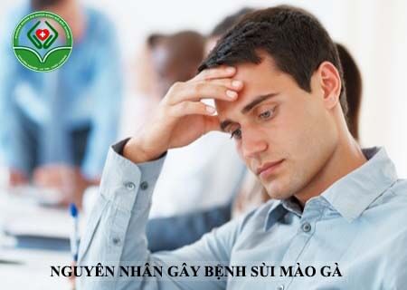 nguyên nhân gây bệnh sùi mào gà