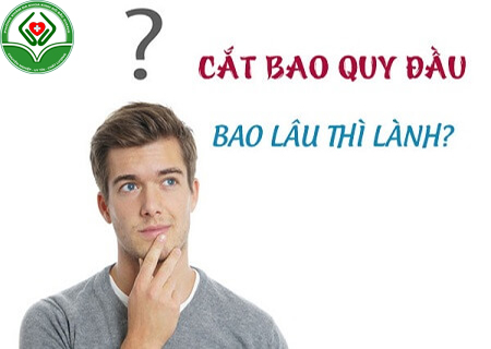 cắt bao quy đâu bao lâu thì khỏi