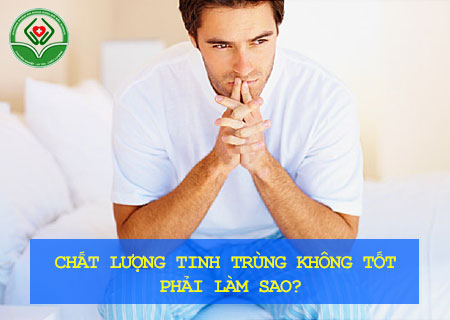 chat-luong-tinh-trung-khong-tot-phai-lam-sao