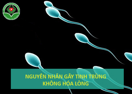 nguyen-nhan-gi-gay-tinh-trung-khong-hoa-long