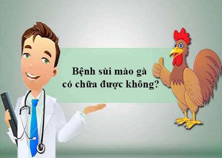 Chữa sùi mào gà tại phòng khám Kinh Đô