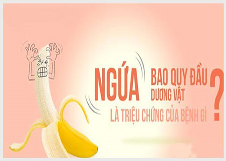 Ngứa bao quy đầu là bị viêm bao quy đầu