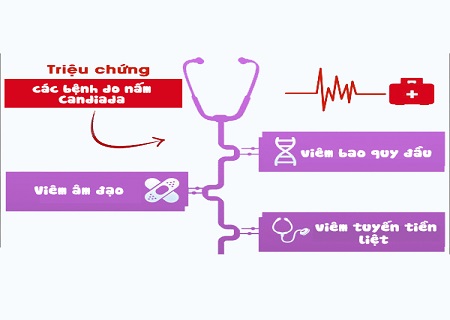 Nấm Candia cảnh báo nhiều căn bệnh nguy hiểm