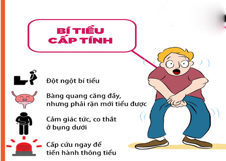 Người bệnh có thể nhận biết bí tiểu cấp tính qua các triệu chứng cụ thể